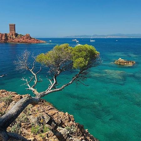 Appartement Frejus Avec Jardin, Piscine, Plage, Tennis Экстерьер фото